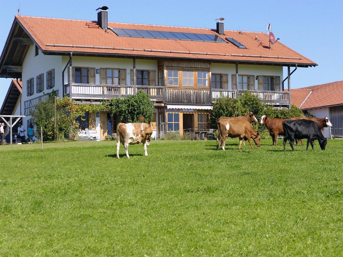 Seeleitenhof Sindelsdorf エクステリア 写真